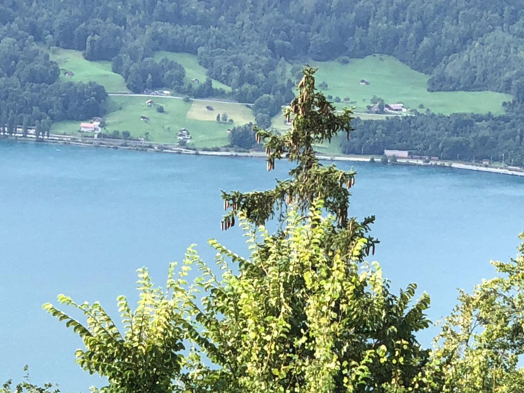 Wohnung Mit See Und Bergsicht Im Vier Sterne Hotel บีอาเตนแบร์ก ภายนอก รูปภาพ